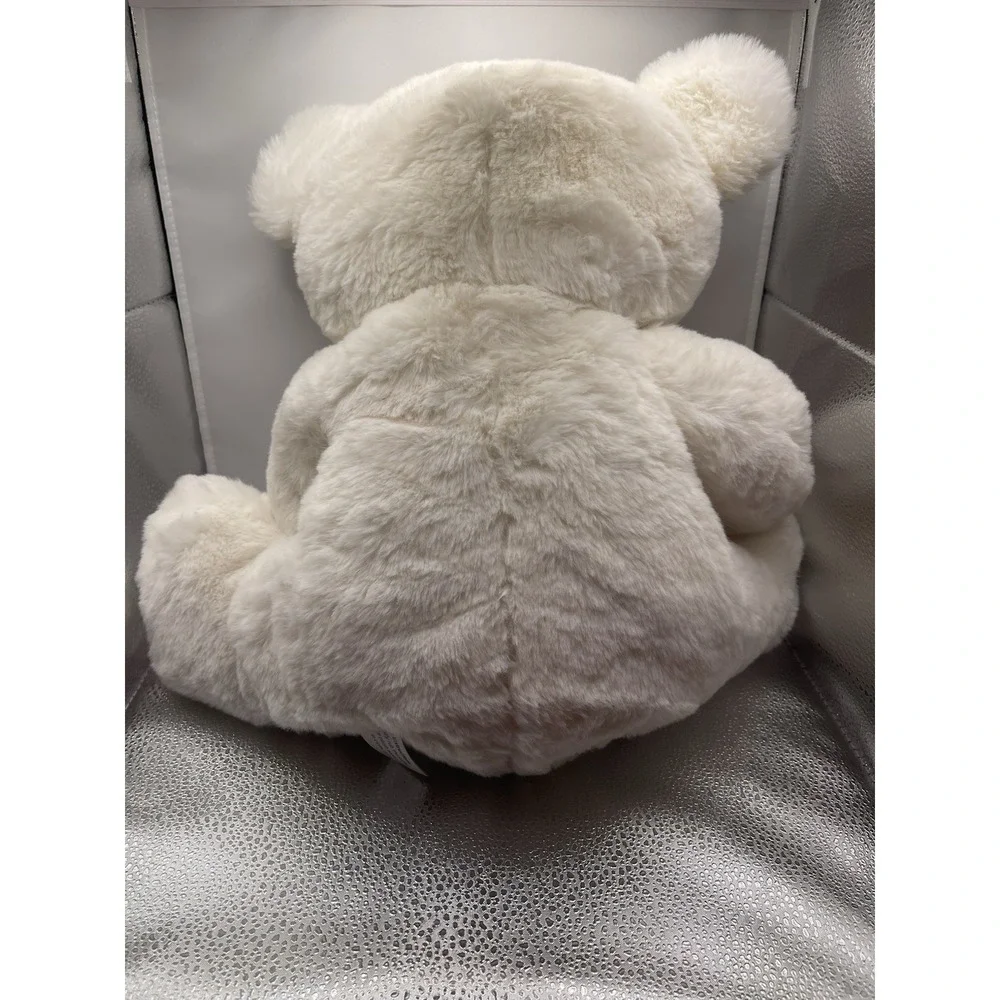 Teddy Bear with Heart Plush Bear That Says‎ Kisses Large Plush Bag1